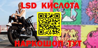 сатива Кандалакша