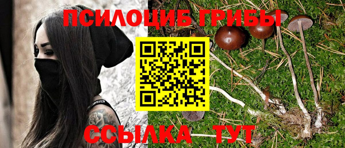 Псилоцибиновые грибы Cubensis  Вход с VPN  даркнет сайт  Ленинск-Кузнецкий 