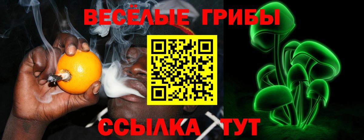Галлюциногенные грибы MAGIC MUSHROOMS Ленинск-Кузнецкий